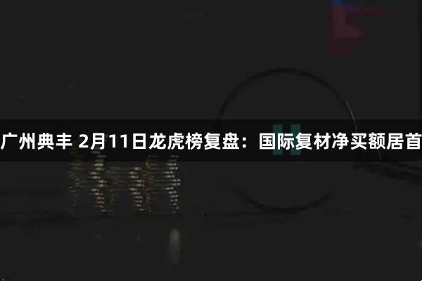 广州典丰 2月11日龙虎榜复盘：国际复材净买额居首
