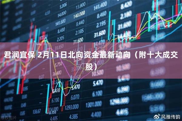 君润宜保 2月11日北向资金最新动向（附十大成交股）